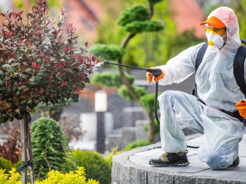 Alaybey Haşere İlaçlama