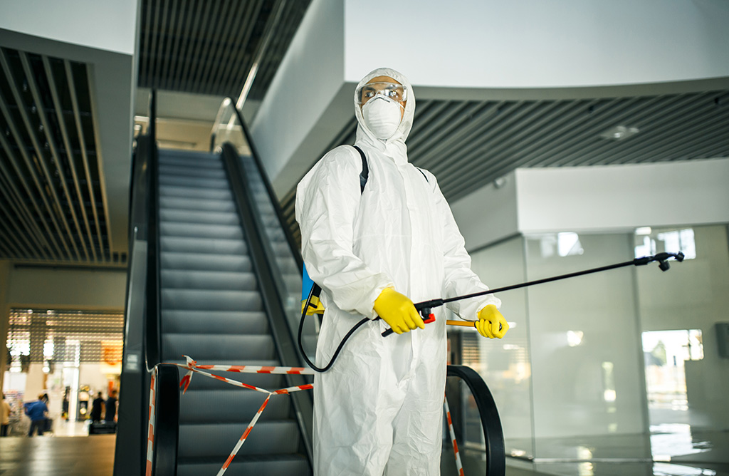 Alaybey Haşere İlaçlama